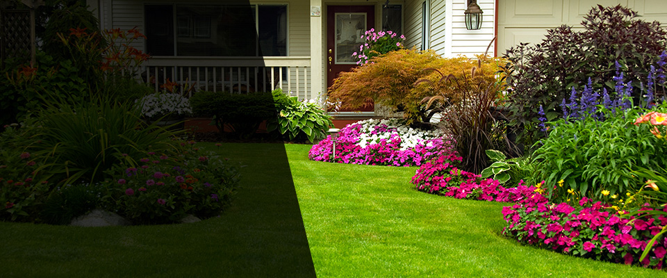 Copperas Cove Landscapers