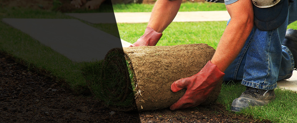 Copperas Cove Landscapers